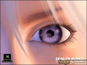 Dead Or Alive 3 Screenshot from Shacknews