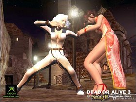 Dead Or Alive 3 Screenshot from Shacknews