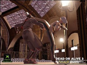 Dead Or Alive 3 Screenshot from Shacknews