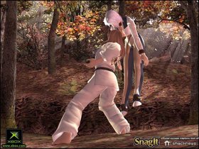 Dead Or Alive 3 Screenshot from Shacknews