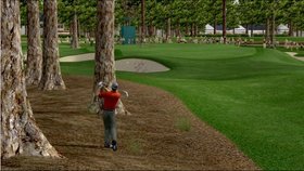 Tiger Woods PGA Tour 06 Screenshot from Shacknews