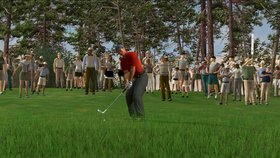 Tiger Woods PGA Tour 06 Screenshot from Shacknews