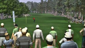 Tiger Woods PGA Tour 06 Screenshot from Shacknews