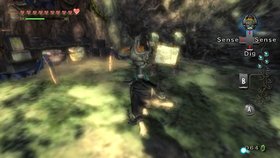 The Legend of Zelda: Twilight Princess Screenshot from Shacknews