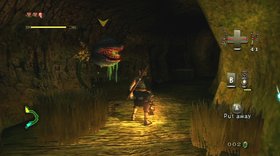 The Legend of Zelda: Twilight Princess Screenshot from Shacknews