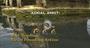 Video: Rapala Fishing Frenzy Trailer