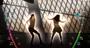 Video: Michael Jackson: The Experience 'In The Closet Gameplay' Trailer