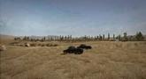 World of Tanks 'Light Tanks Gameplay' Trailer