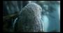 Video: Castlevania Judgment Cinematic Trailer