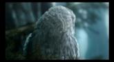 Castlevania Judgment Cinematic Trailer