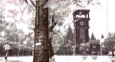 Deadly Premonition: The Director's Cut launch trailer