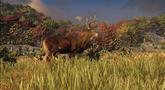 Cabela's North American Adventures 'Launch' Trailer