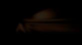Afrika GC 2008 Trailer