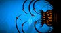 Video: Insanely Twisted Shadow Planet 'PAX East teaser' Trailer