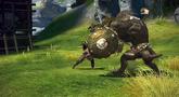 Tera 'Slayer Combat' Trailer