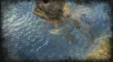 AQUA - Naval Warfare Teaser Trailer