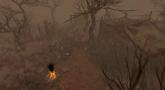 Sacred 2: Ice & Blood 'Cursed Forest' Trailer