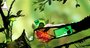 Video: Puddle 'Gameplay' Trailer