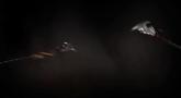 God of War 3 'Vengeance' Trailer