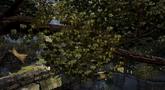 Divinity 2 - Ego Draconis GC 2008 Trailer