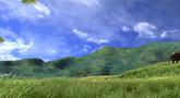 Afrika TGS06 Movie