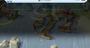 Video: Age of Empires Online 'Announcement' Trailer