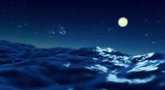 Sega Bass Fishing 'Horror' Trailer