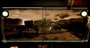 Video: Steel Battalion: Heavy Armor launch trailer