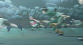 Naruto Shippuden Ultimate Ninja Storm Generations trailer
