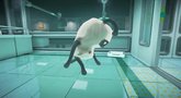Warp 'Announcement' Trailer