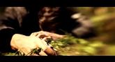 Alan Wake 'Live Teaser' Trailer