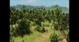 Video: Men of War: Vietnam 'Dev diary #1' Trailer
