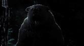 Cabela's Dangerous Hunts 2011 'Launch' Trailer