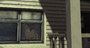 Video: The Walking Dead: Survival Instinct launch trailer