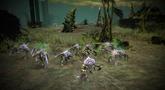 Warhammer 40,000: Dawn of War 2 - Retribution 'Tyranid Campaign' Trailer
