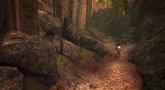 Neverwinter PAX East mounts trailer