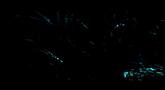 Risen 'Teaser' Video