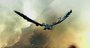Video: Dragon's Prophet teaser trailer