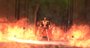 Video: Champions Online On Alert teaser trailer