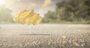 Video: Wipeout 2048 'Intro cinematic with director commentary' Trailer