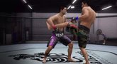 UFC Undisputed 3 strategy trailer