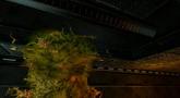 Natural Selection 2 'Dynamic Infestation' Preview