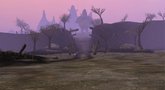 Everquest: Rain of Fear launch trailer