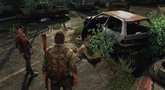 The Last of Us Wasteland Beautiful developer diary