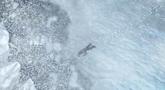 Uncharted 2: Among Thieves GameCom 2009 Trailer