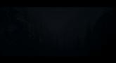 Alan Wake E3 2009 Trailer